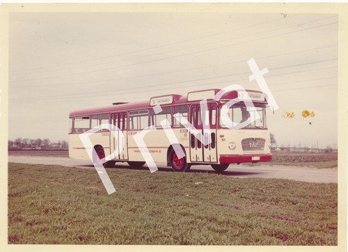 Foto bus omnibus - bus, lininenbus