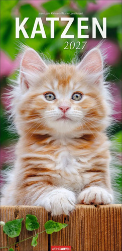 Katzen kalender 2027 - katzen,