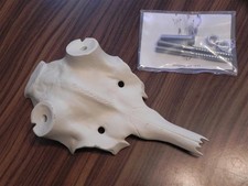 Damhirsch Dam Hirsch