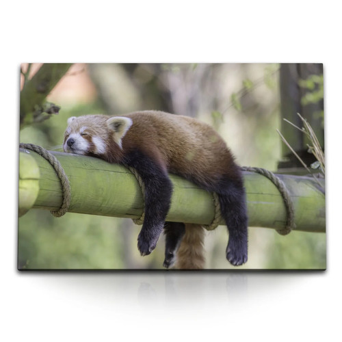 120x80cm wandbild auf leinwand - wandbild,
