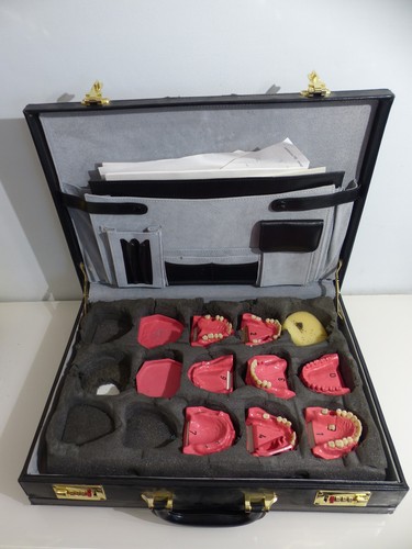 Dent schaumodell modell - 8x,