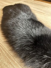 Fuchs Fellkragen, Zum