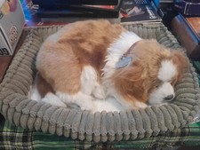 Perfect Petzzz® The Original