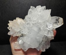 ERHABENE APOPHYLLITE BLUME MIT