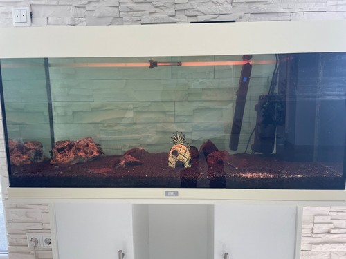 Juwel aquarium rio 180l mit - juwel,