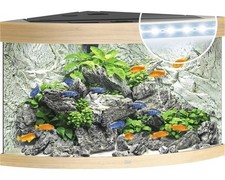 Aquarium JUWEL Trigon 190 mit LED-Beleuchtung, Filter, Heizer ohne Unterschrank 