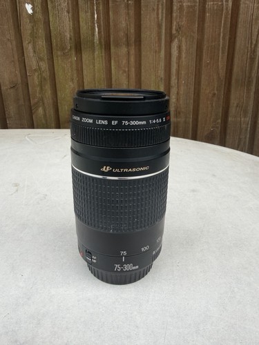 Canon objektiv 300 mm - canon,