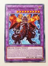 Yugioh! Erzunterweltler schwarzer Totenkopfdrache LDK2 Common Near MInt Neu! 