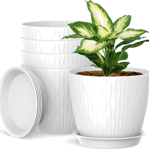 Packs blumentopf mit - blumentopf,