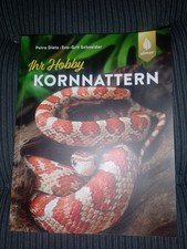 Kornnattern Buch Schlangen 