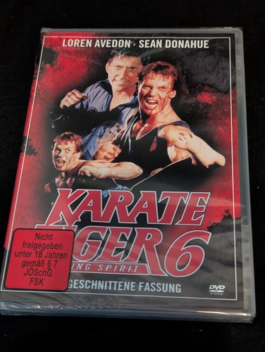 Karate tiger fighting - karate, 6