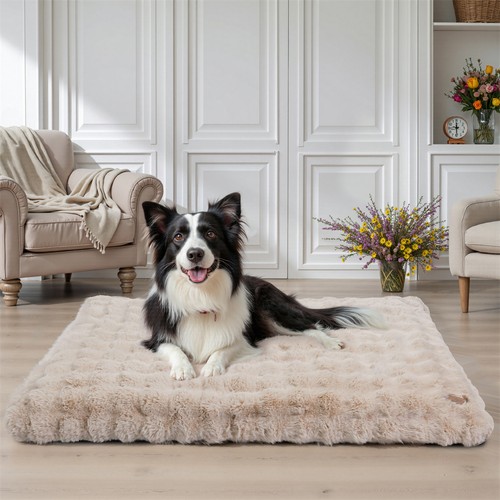 Hundebett waschbar