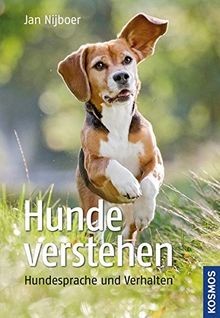 Hunde verstehen hundesprache - verstehen:,