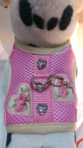 Hundegeschirr mit glitzer - s,