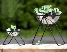 Pflanzschale Edelstahl Metall