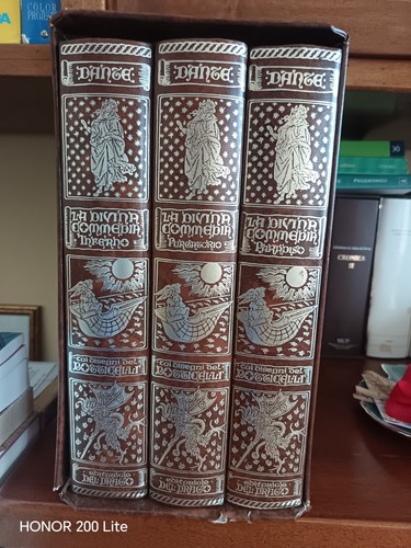 Göttliche komödie 3 bände - göttliche,