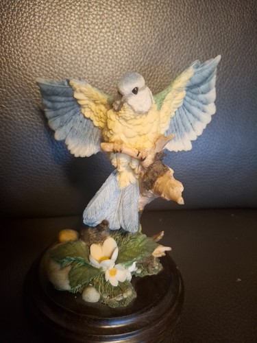 Country artists 618 bluetit - country,