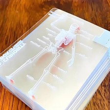 3D Anatomie Lernkarten Körper