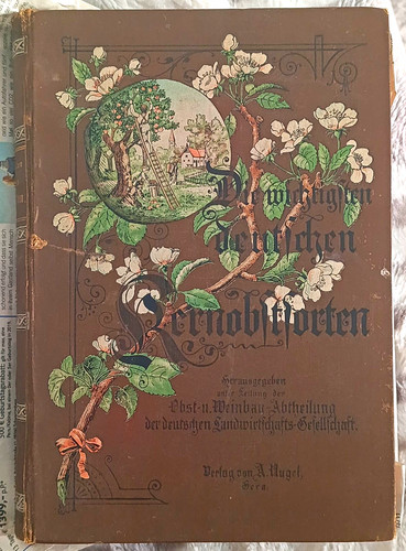Antikes prachtwerk die - prachtwerk, „die