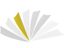 12er Set Gateway Shield Federn