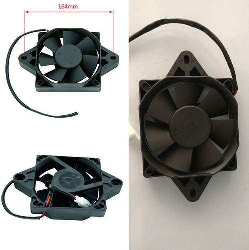 12v ölkühler elektrischer - 12v,