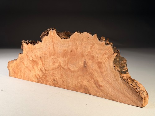 Live edge burr - live, stab