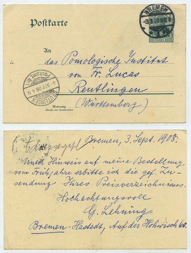 65447 ganzsache 73 - ganzsache, p