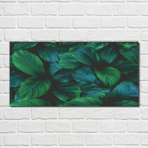 Acrylglasbild wandbild - acrylglasbild,