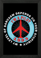 Flugzeug Pilot Flieger