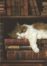 Postkarte Tiere "Schlafende Katze im Bücherregal"