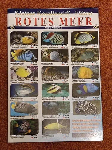 Info heft kleiner - info-heft:,