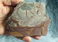 ? ? ? FIRST CLASS !!! ? ? ? XL Scheibe Sonora Dendritic Jaspis ? ? ?405