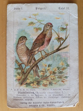 Sammelkarte Kasseler Hafer