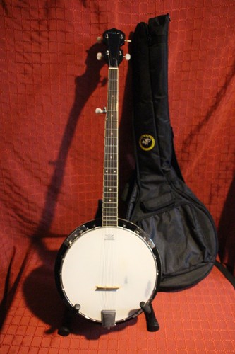 Folkfriends saitiges banjo - 5,