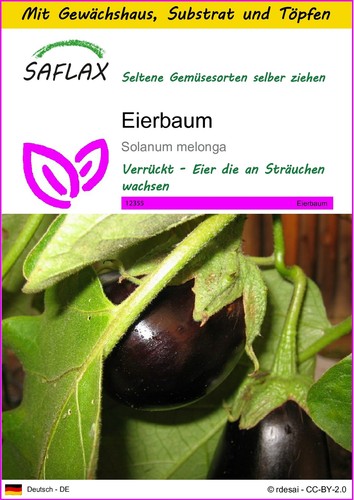 Saflax anzuchtset eierbaum - -,