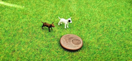 Stück bullterrier - !!,