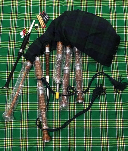 Schottische great highland - schottische,
