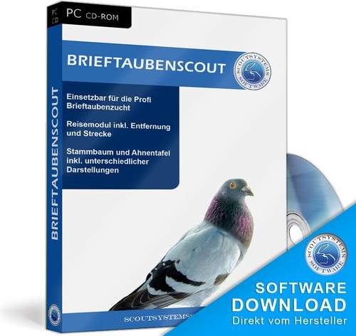 Brieftauben,Tauben