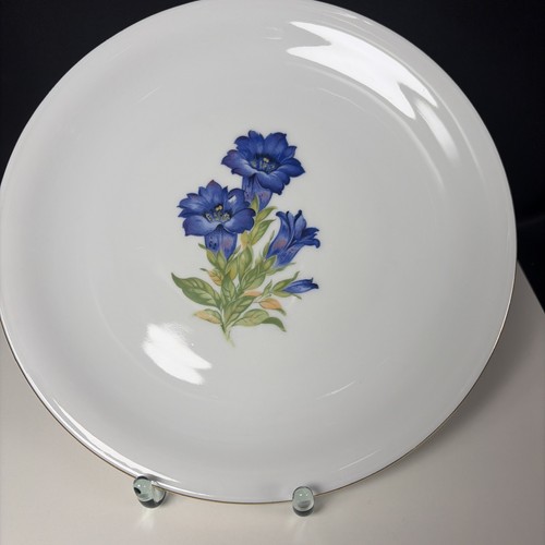 Teller enzian blüte - blüte, platten
