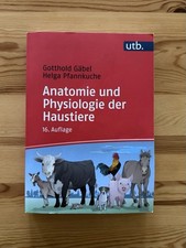 Anatomie und Physiologie Der