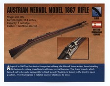Austrian Werndl Model 1867
