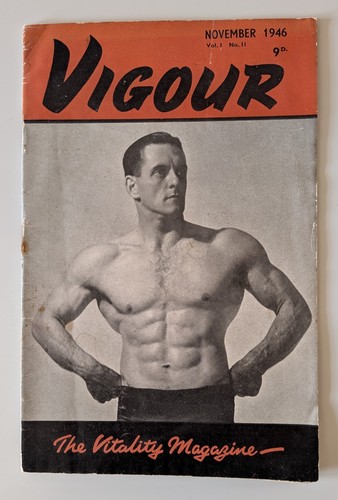 Vigour the vitality magazine - the,
