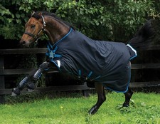 Horseware amigo bravo - bravo, 12