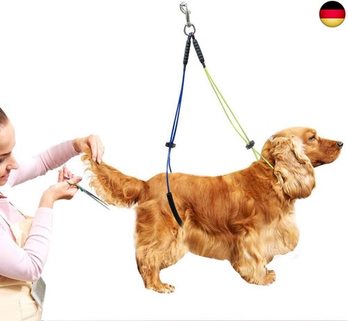 Halteschlaufe hund - halteschlaufe,