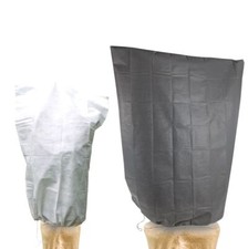 Pflanzenschutz Winter Pflanzen