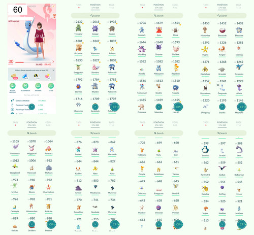 Pokémon acc lvl 30 - go,