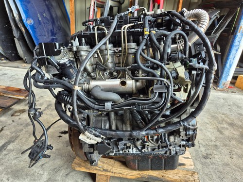 Motor ford focus mondeo - focus, tdci