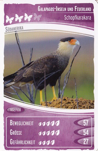 Netto ozeanien - ,