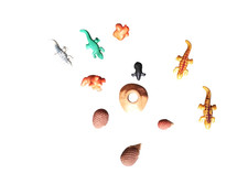 Playmobil Kleine Tiere Igel