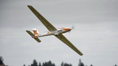 Fms fox elektrosegler - fms,